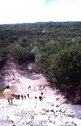 Blick von der Pyramide El Castillo auf die Dschungelriesen