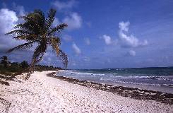 Strand bei unserer Cabaña "Tita Tulum"
