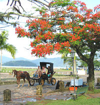 Kutschenfahrt am Ufer