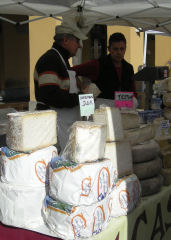 Köstlicher Käse auf dem Markt von Alba