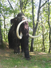 Trompetendes 'Mammut' im Espace Cro Magnon