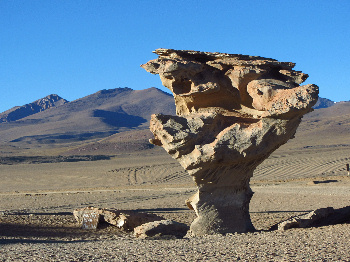 Der Arbol de Piedra (der Steinbaum) morgens um 7 bei Minusgraden