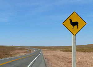 Straßenschild auf dem Weg nach Potosí: 'Achtung Lamas'