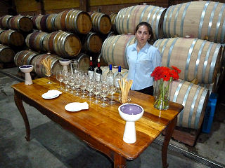 Weinverkostung im Barrique-Lager des Weinguts Casas del Bosque