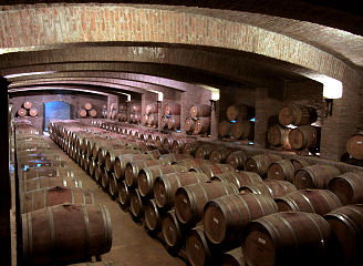 Einer der Barrique-Keller des Weingutes Undurraga