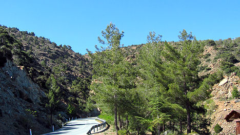 Im Troodos-Gebirge - meist ohne besondere Aussicht...