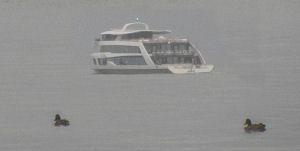 Enten und Abendfähre am  nebelig, verregneten Vierwaldstätter See