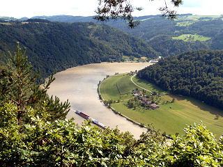 Blick auf die Schlögener Schlinge vom Aussichtspunkt Steiner Felsen kommend