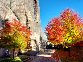 Herbstlich bunt leuchtende Laubbäume vor dem Dom in Tampere