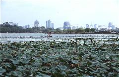 Der Westsee in Hangzhou